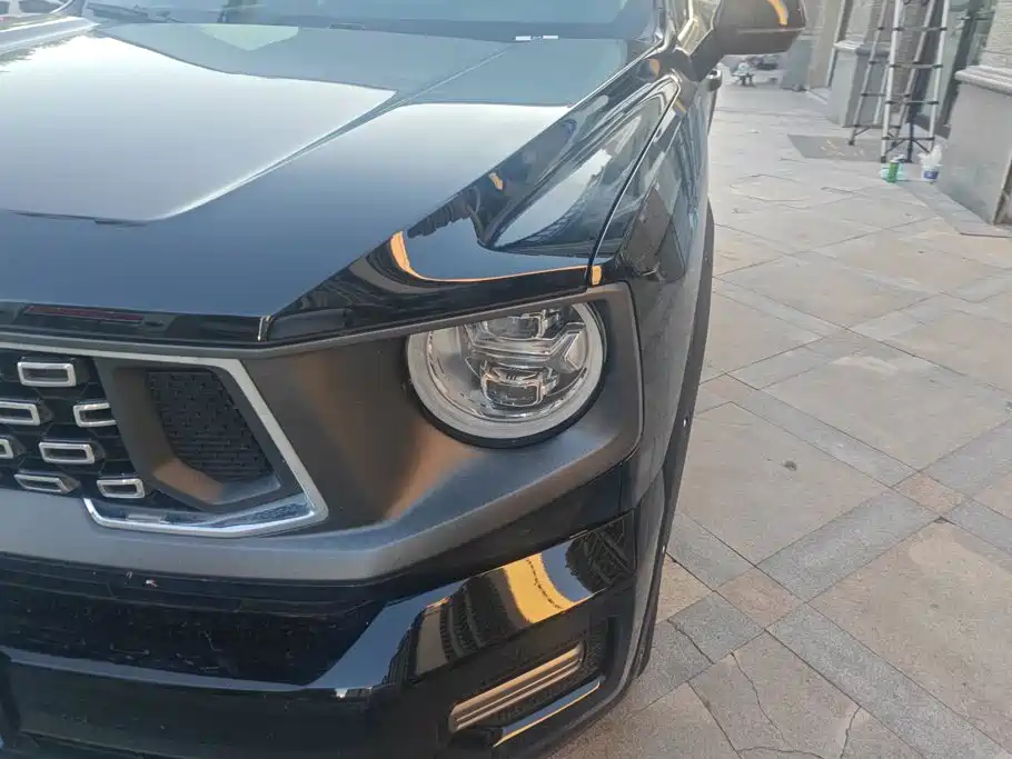 Haval Big Dog PLUS — миниатюра 5