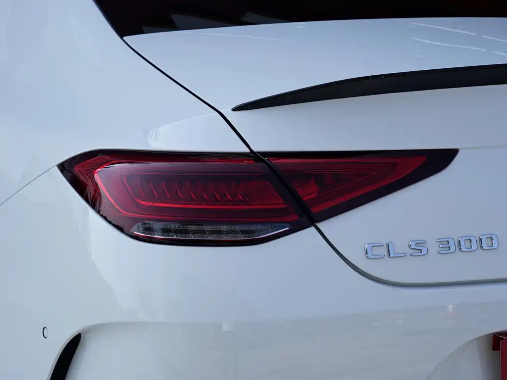 Mercedes-Benz CLS 2022 CLS 300