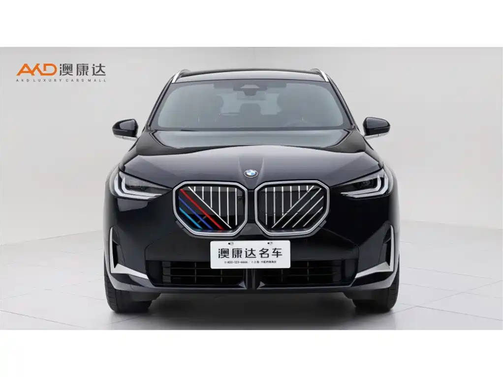 BMW X3 — миниатюра 2