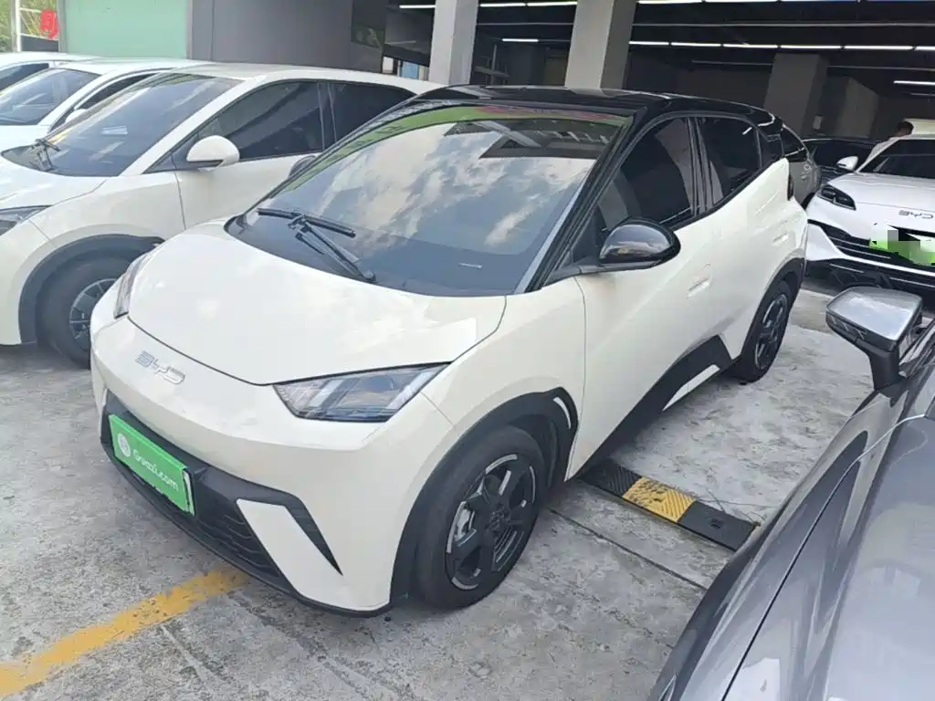 BYD Seagull