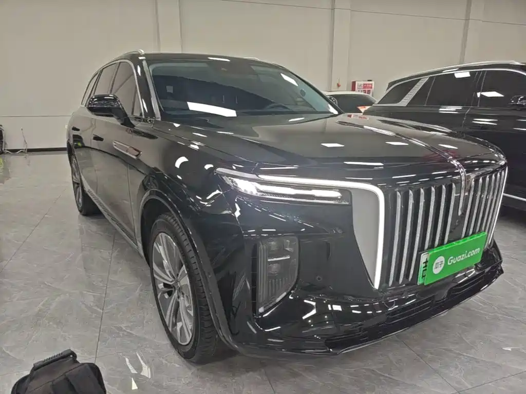 Hongqi Hongqi E-HS9 — миниатюра 4