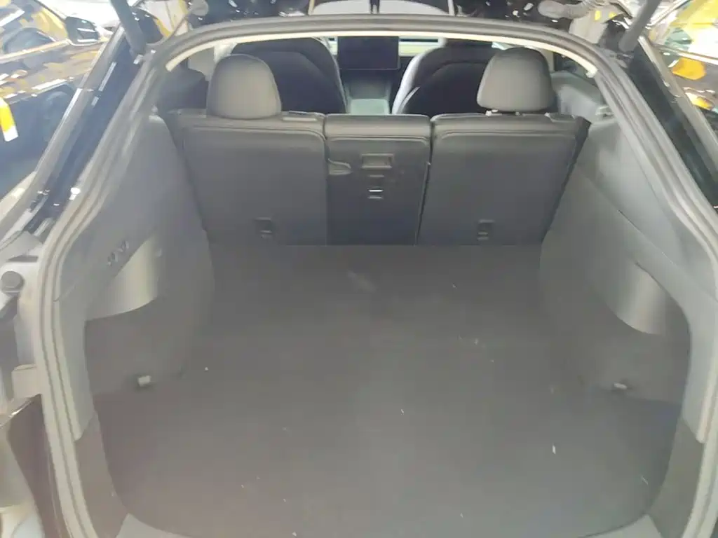 Tesla Model Y — миниатюра 19