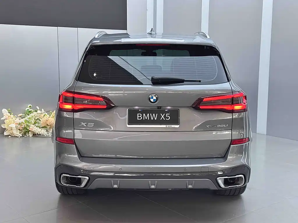 BMW X5 Facelift xDrive 30Li M Sport Package, фото 4