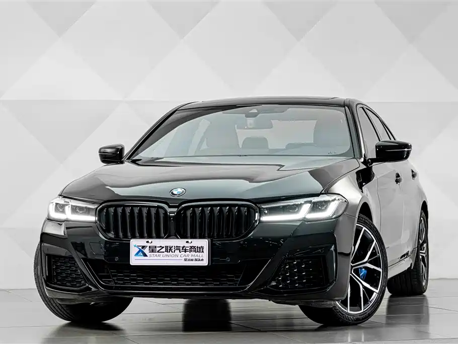 BMW 5 Series (Import) — миниатюра 2