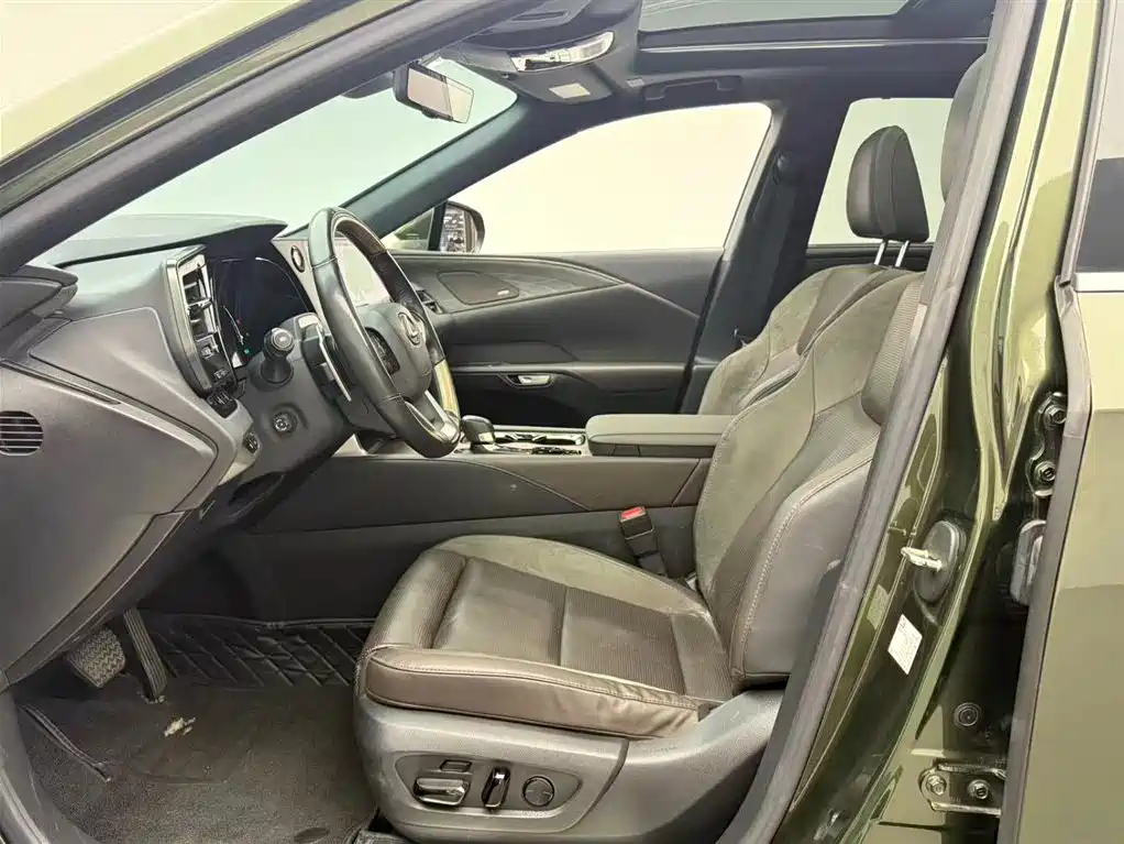 LEXUS RX NEW ENERGY