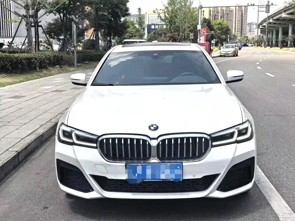 BMW 5 Series — миниатюра 2