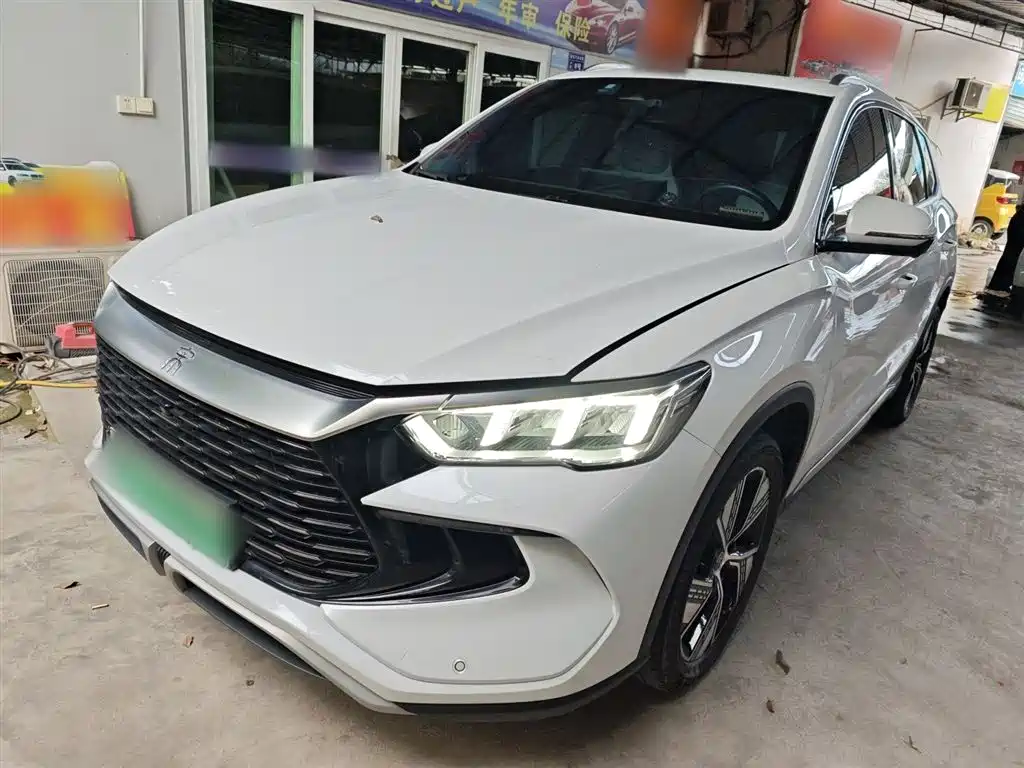Byd Pro New Energy 2023