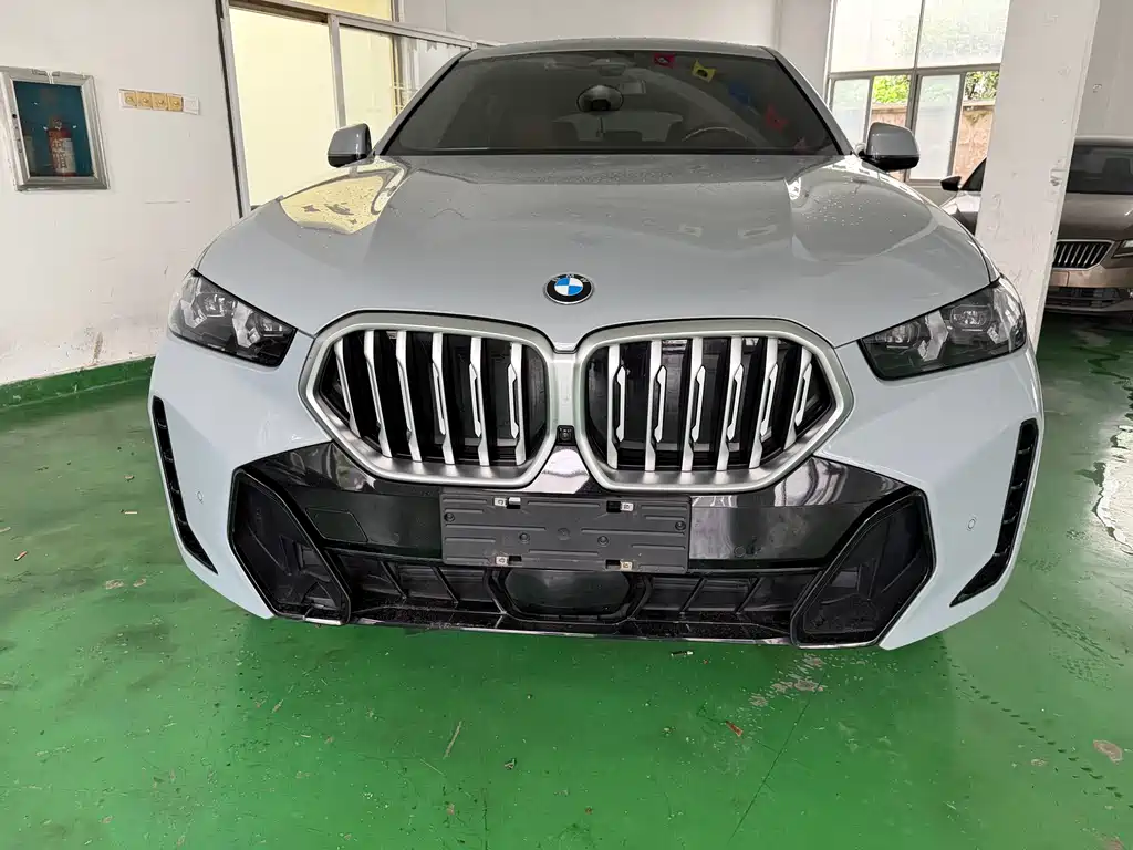 BMW X6 2023 xDrive30i M Sport