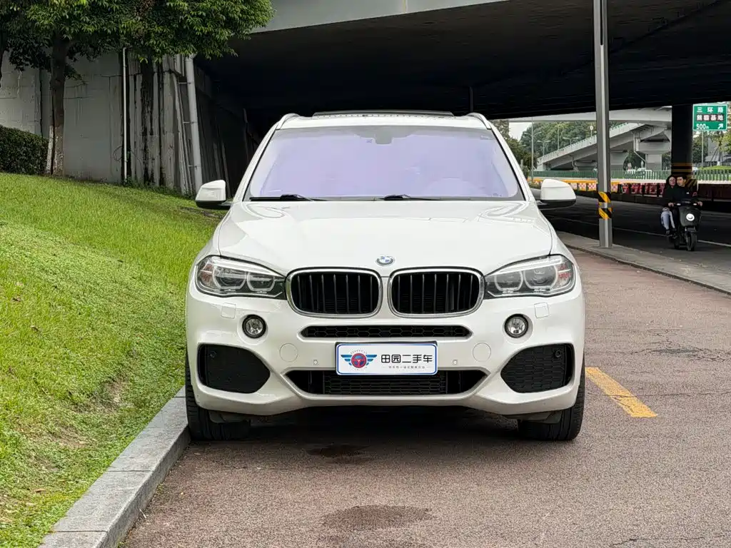 BMW X5 (Import) — миниатюра 2