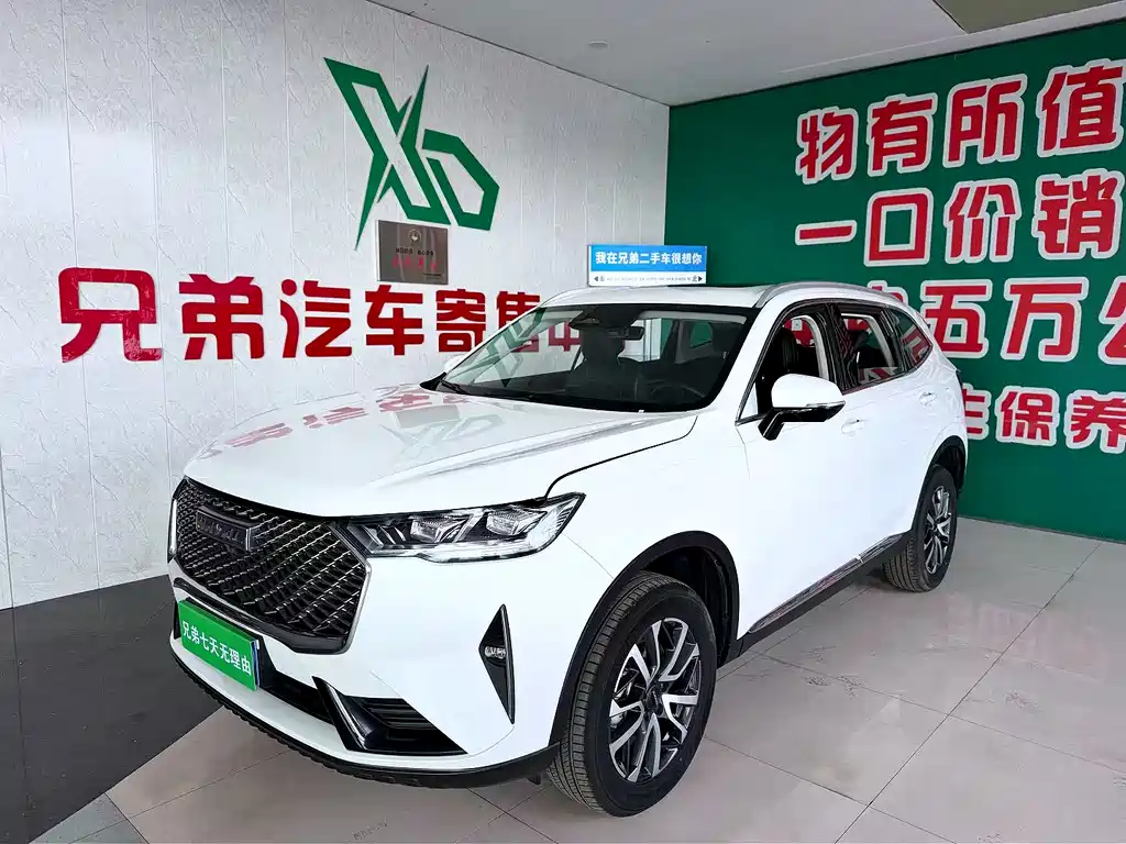 HAVAL H6