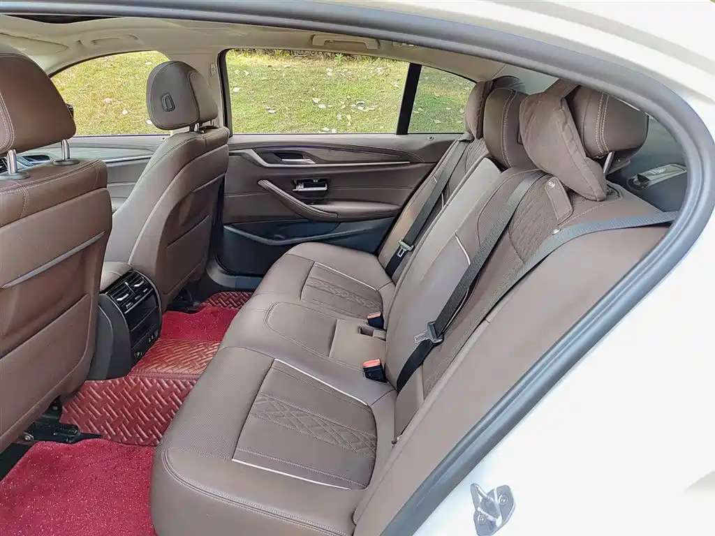 BMW 5 Series 5 2021 530Li Lead Luxury