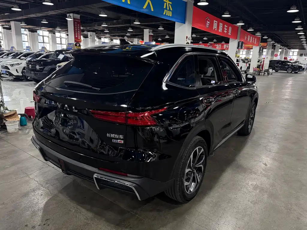 Haval Xiaolong MAX — миниатюра 9