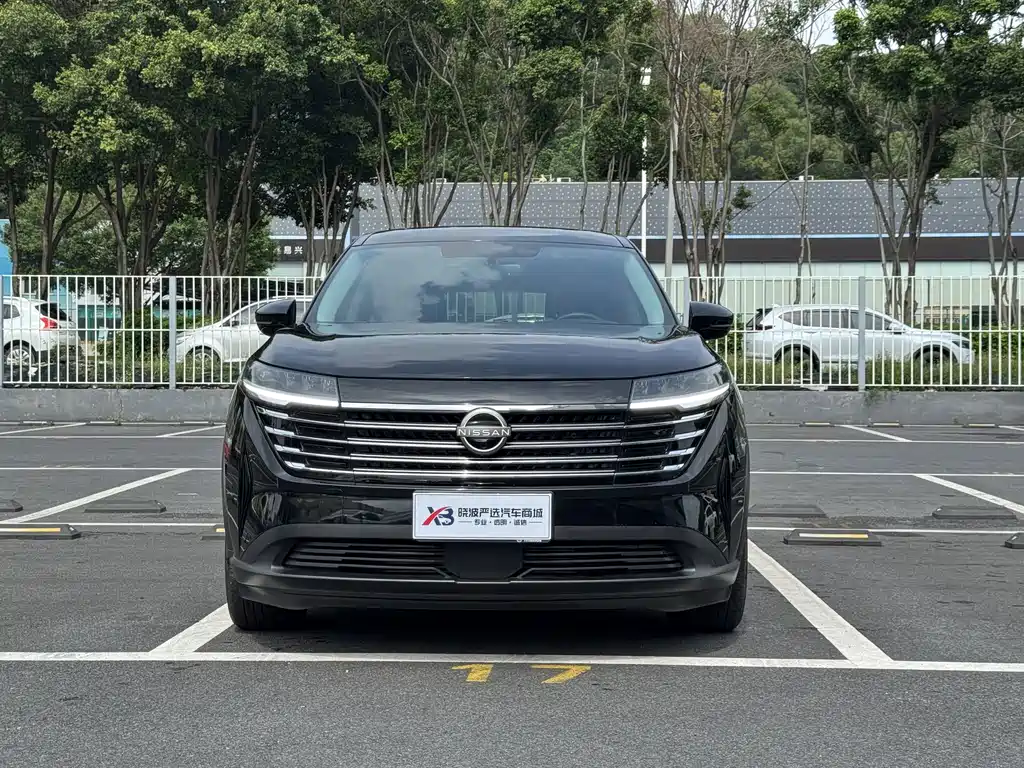 Nissan Teramont — миниатюра 2