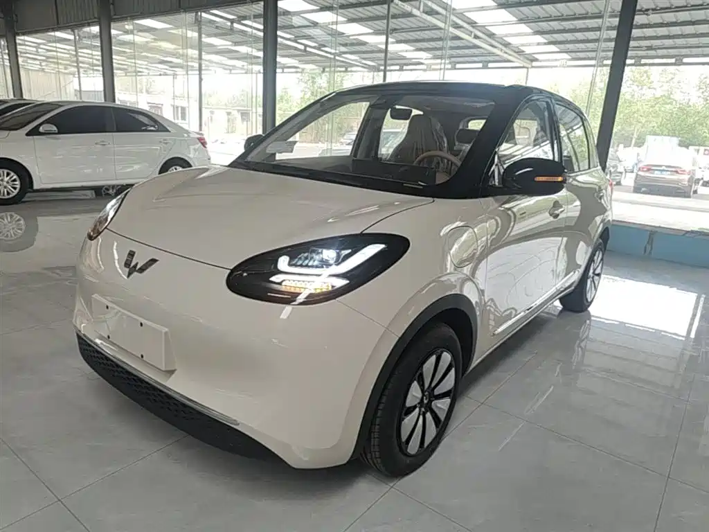 Wuling Binguo 2025 333km Enjoy
