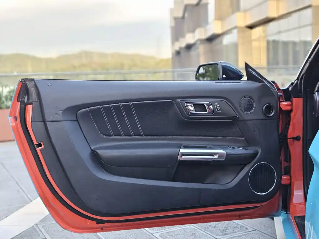 Ford Mustang — миниатюра 22