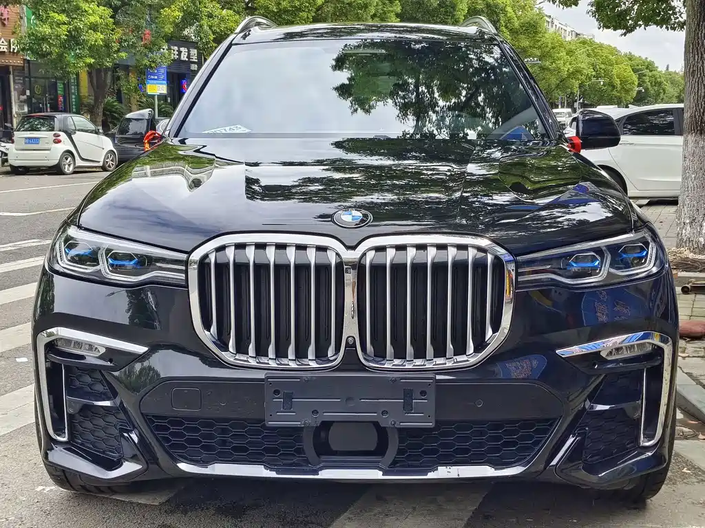 BMW X7 — миниатюра 2