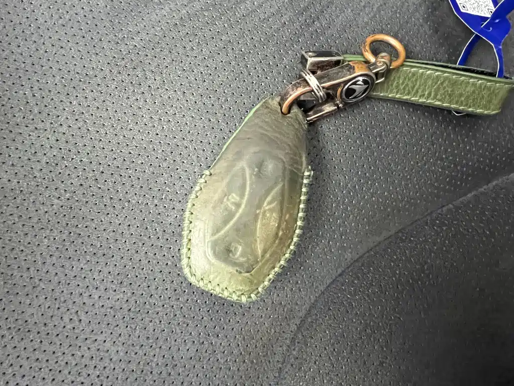 ARCFOX EXTREME FOX POLAR FOX ALPHA S