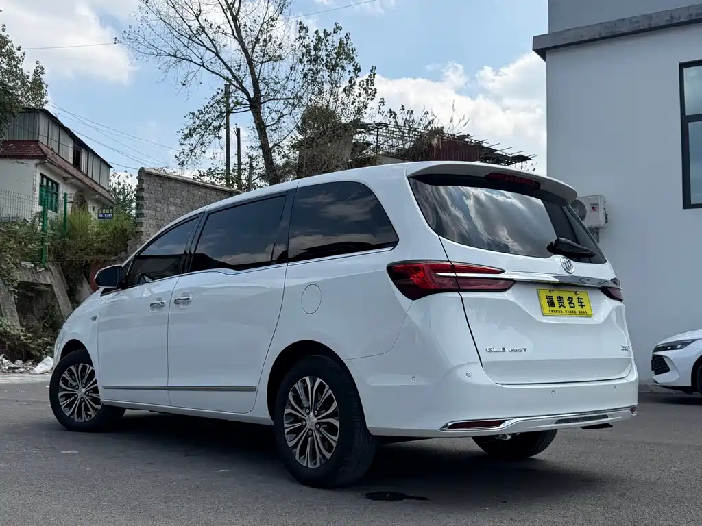 Buick GL8 — миниатюра 9