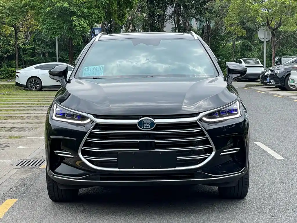 BYD Tang New Energy — миниатюра 2