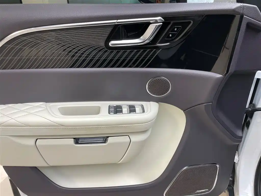 Hongqi E-HS9 2021 510km мест