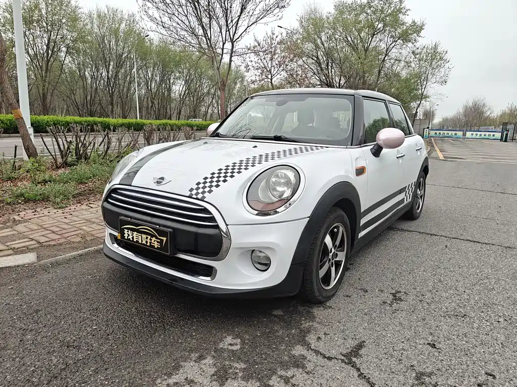 Mini Mini 2015