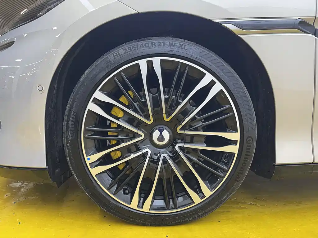 Denza Denza Z9GT — миниатюра 9