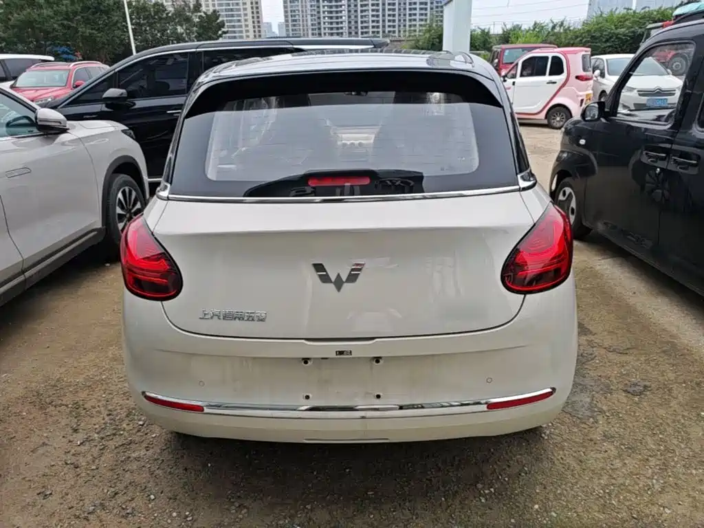 Wuling Binguo 2025 333km Enjoy