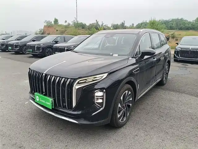 2024 Hongqi HS7