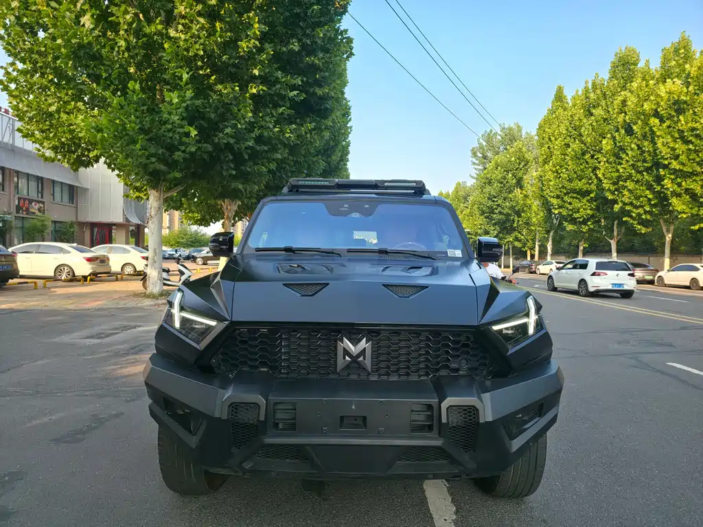 Mengshi Mengshi 917 — миниатюра 3