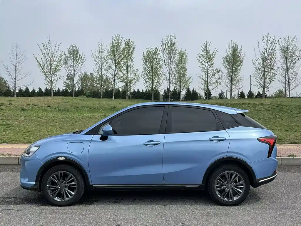 Neta V 2022 400
