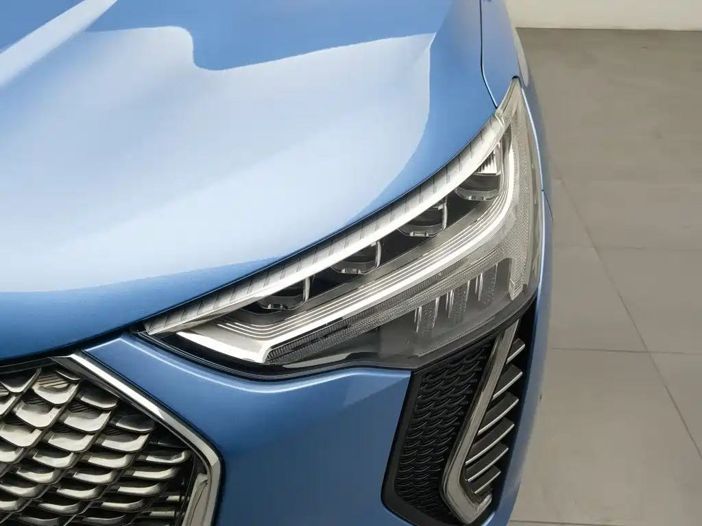 Haval Chulian — миниатюра 7