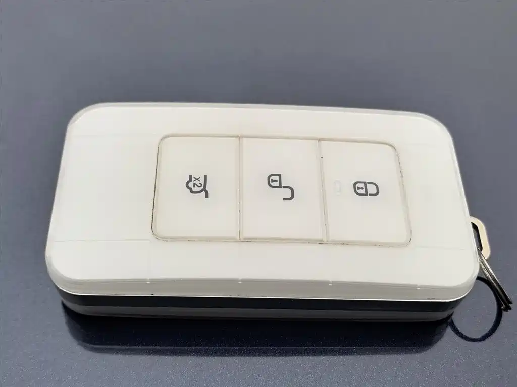 BYD SONGJIANG NEW ENERGY