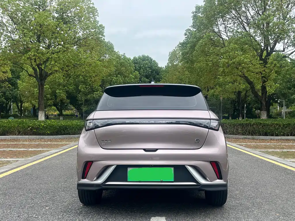 BYD Dolphin — миниатюра 5