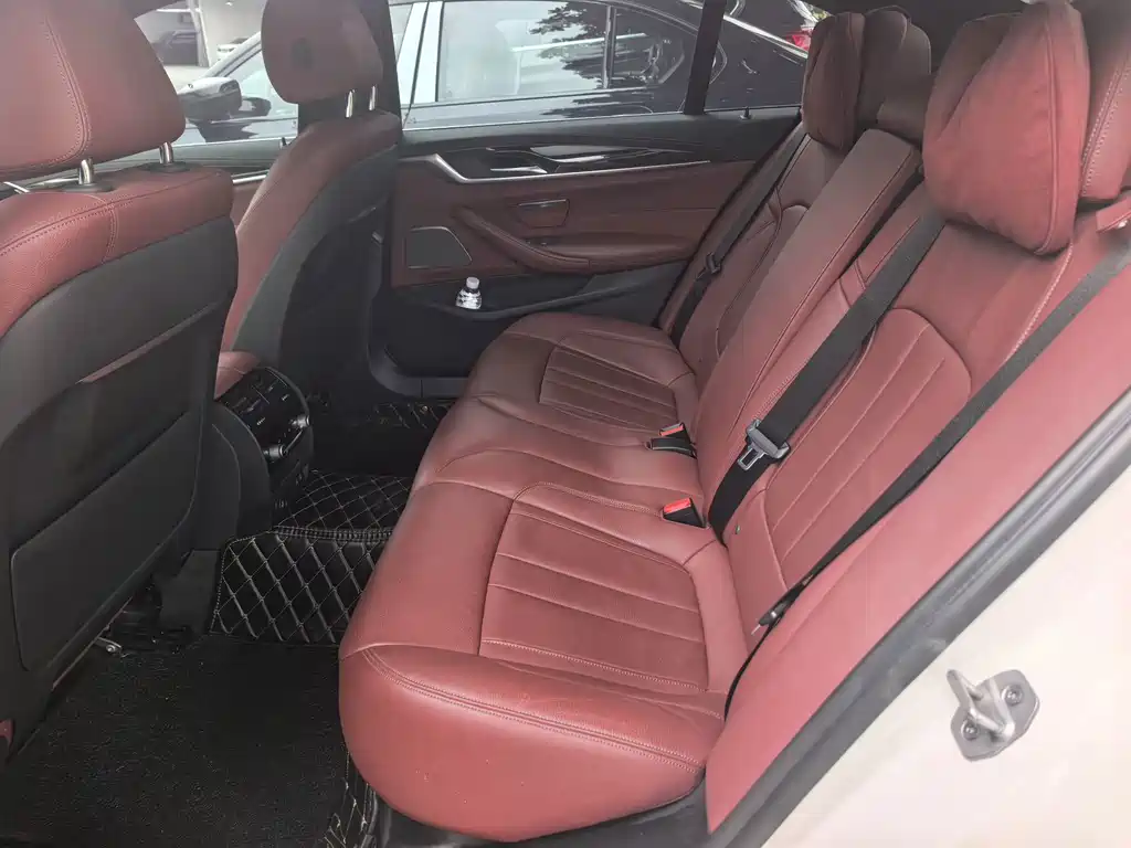 BMW 5 Series 5 2020 530Li Premium M Sport