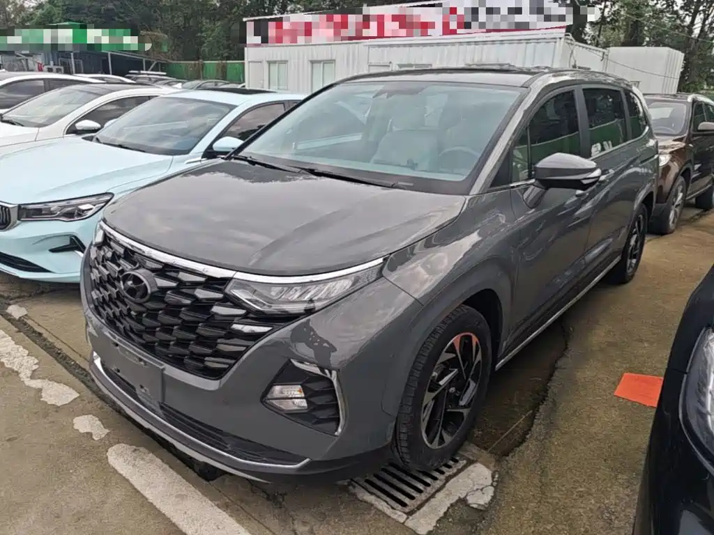 Hyundai Custo — миниатюра 2