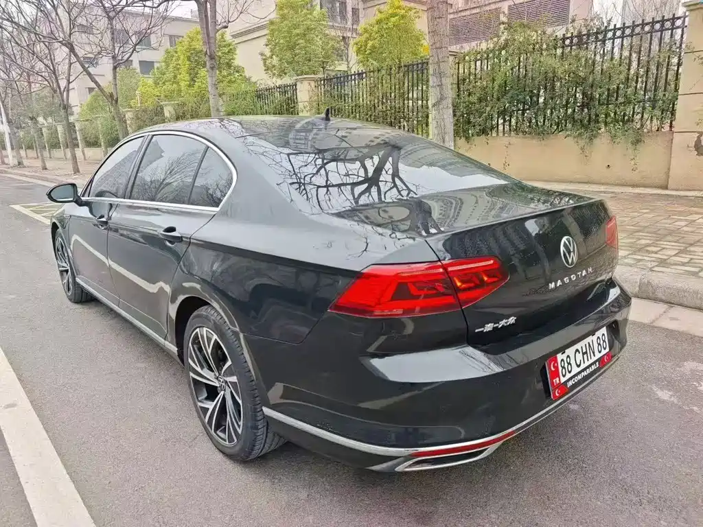Volkswagen Magotan 2020 330TSI DSG Luxury