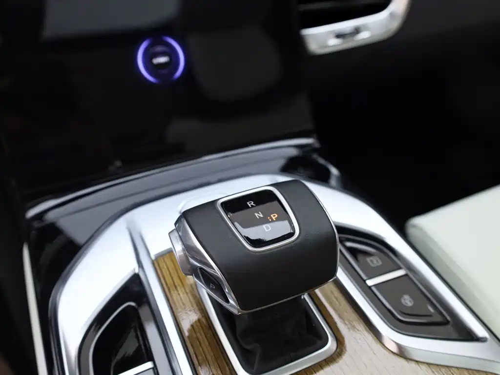 Hongqi Hongqi E-HS9 — миниатюра 11