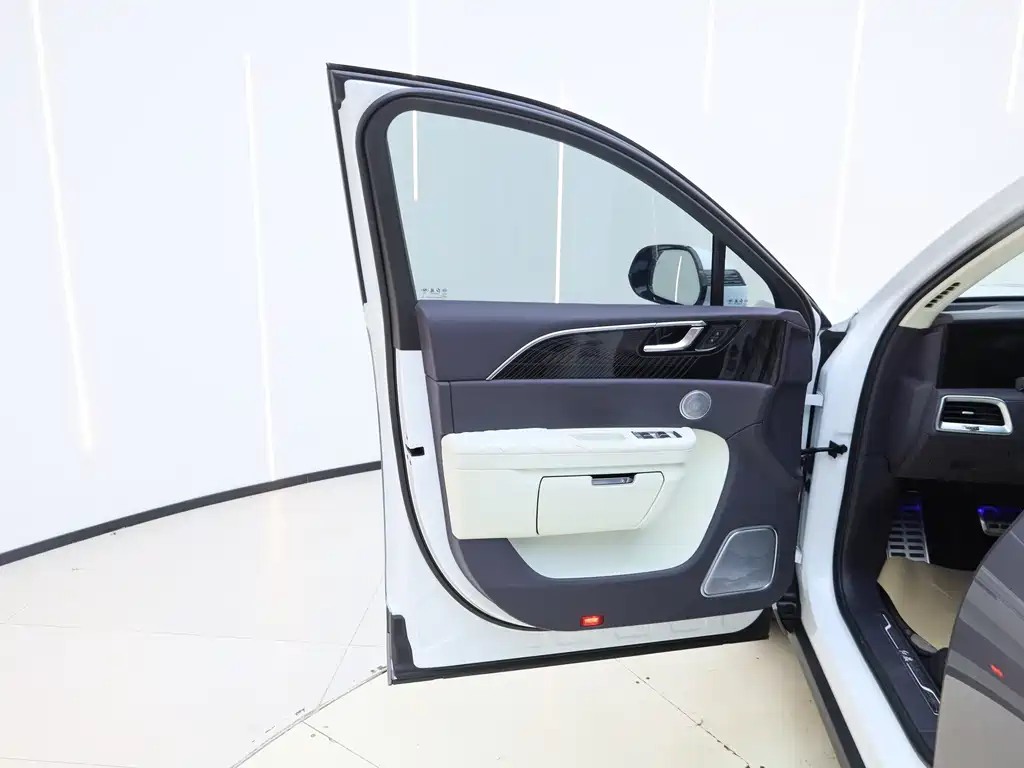 Hongqi Hongqi E-HS9 — миниатюра 17