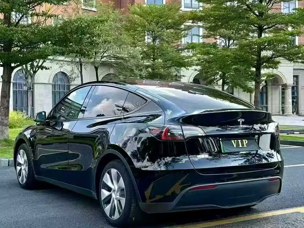 Tesla Model Y — миниатюра 8