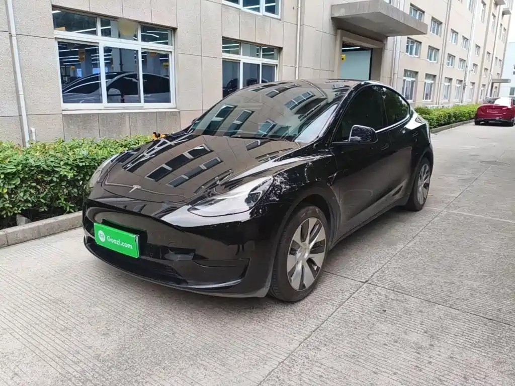 Tesla Model Y — миниатюра 2