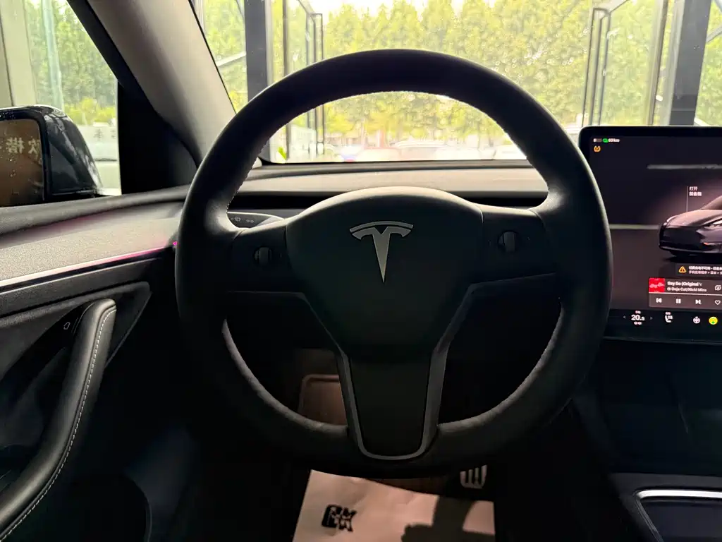 Tesla Model Y — миниатюра 17