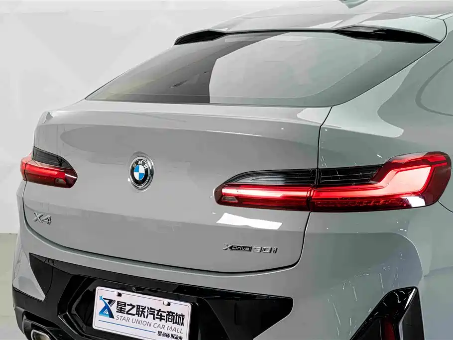 BMW X4 — миниатюра 8
