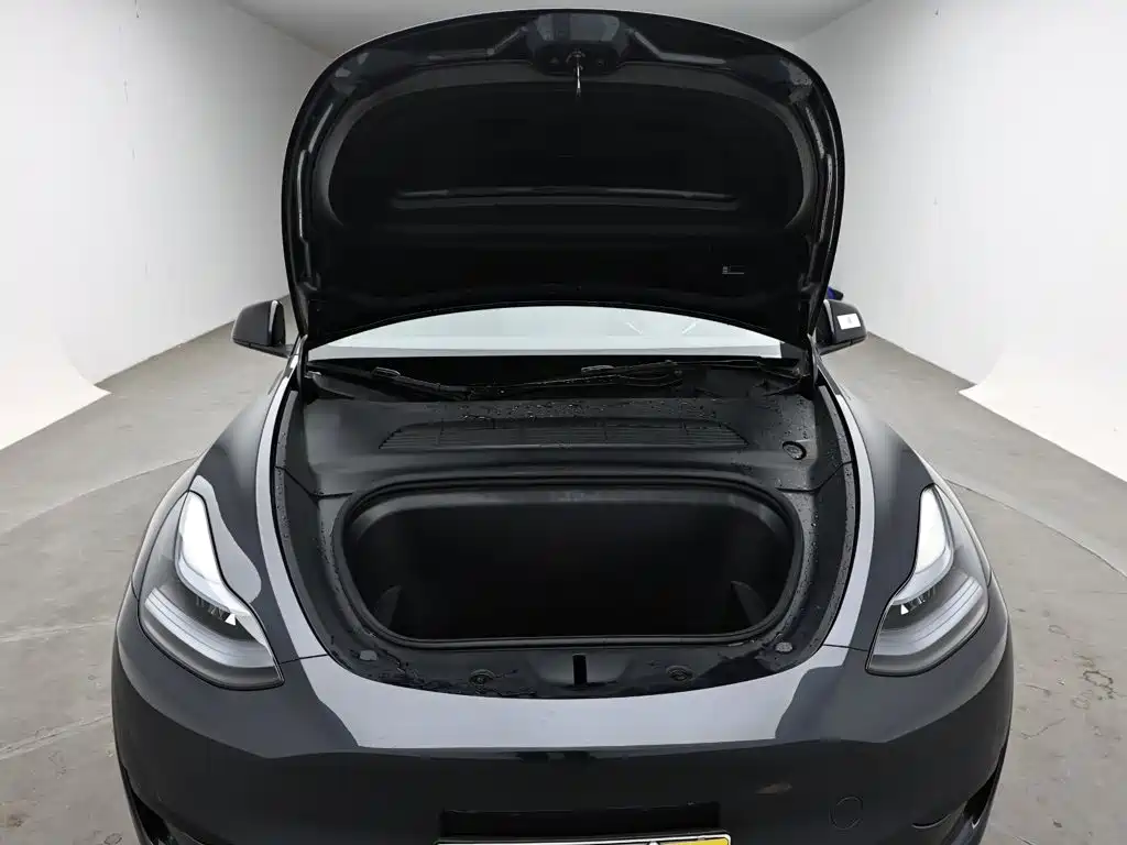 Tesla Model Y — миниатюра 17