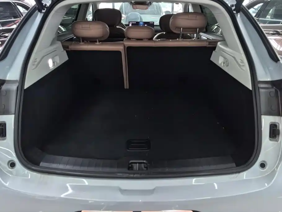 Leapmotor Leapmotor C11 — миниатюра 4