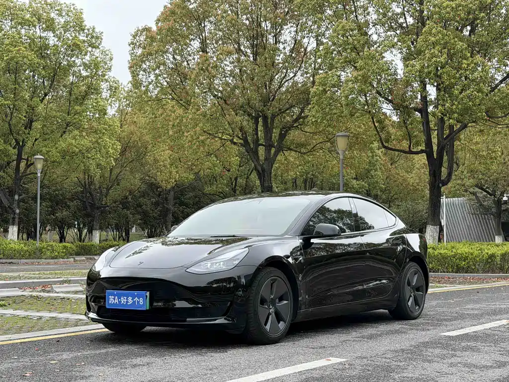 Tesla Model 3 2022