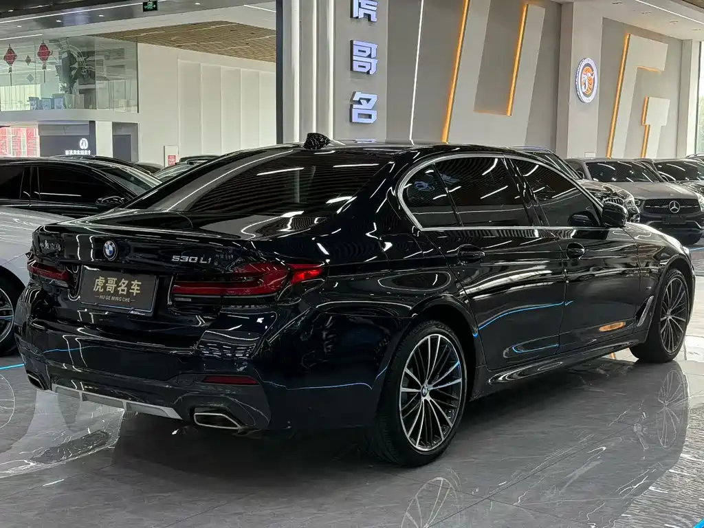 BMW 5 SERIES