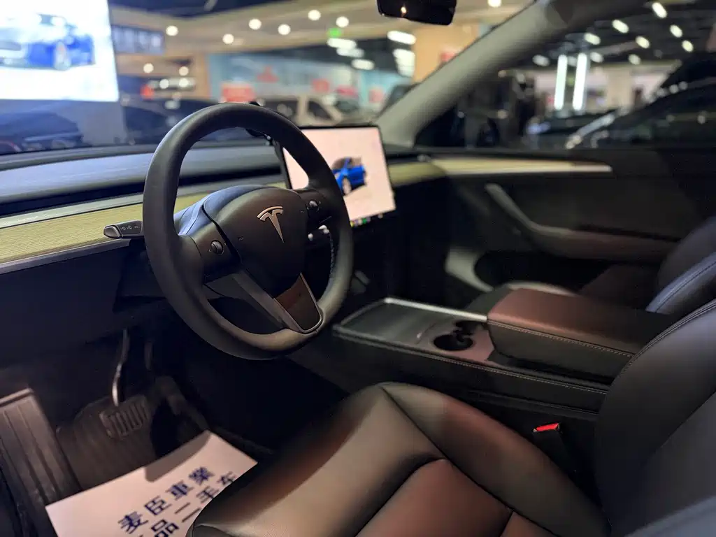 Tesla Model Y — миниатюра 4