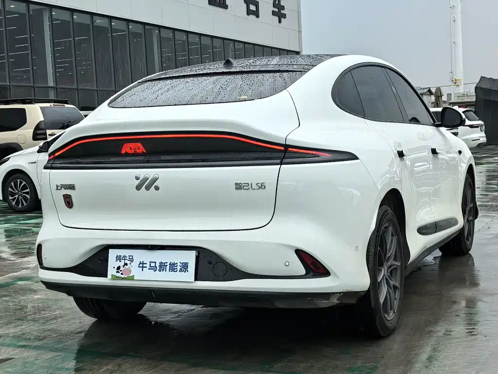 IM IM LS6 — миниатюра 7