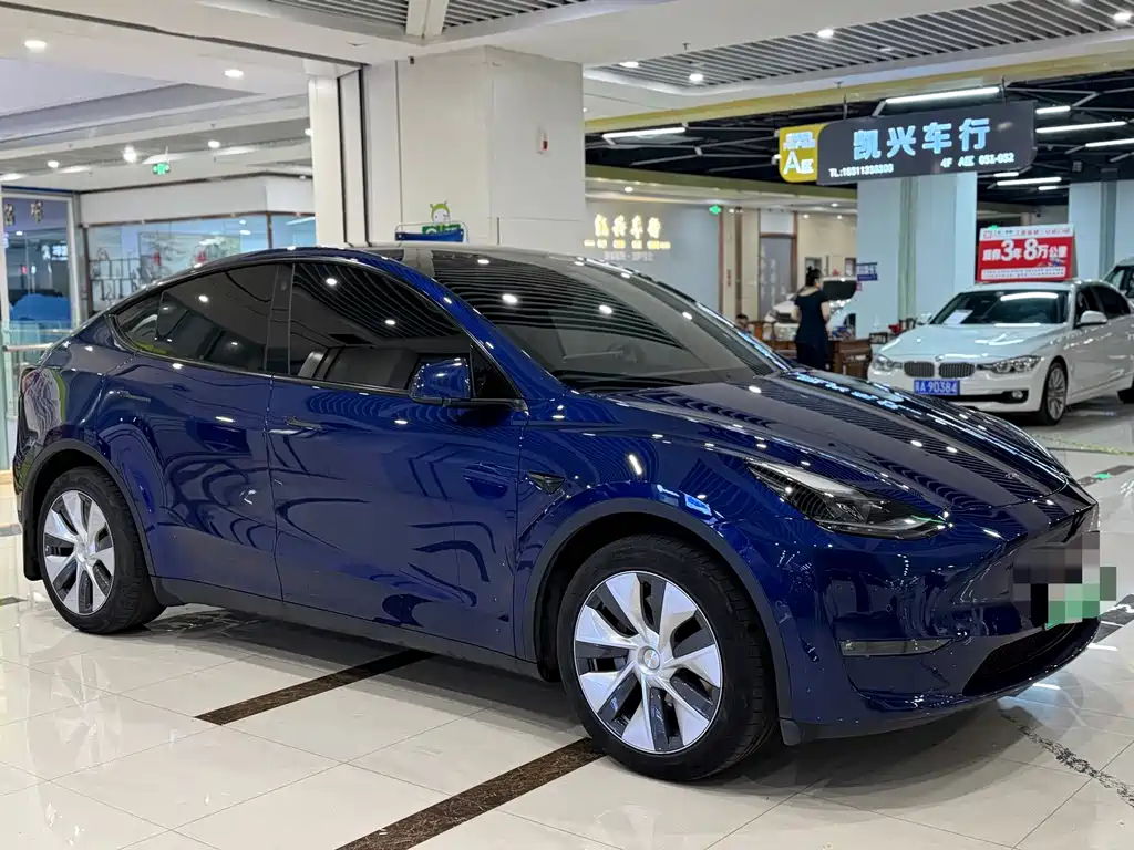 Tesla Model Y — миниатюра 3