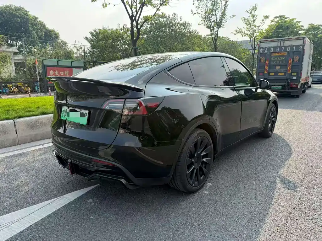 Tesla Model Y — миниатюра 4